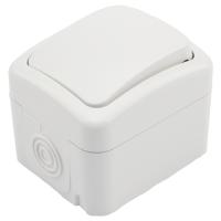 Мини ОГ белый переключатель 1кл открытая 10А IP54 